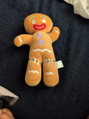 Customer photo review of Shrek Gingerbread Man Plush Toy