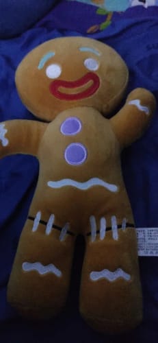 Customer photo review of Shrek Gingerbread Man Plush Toy