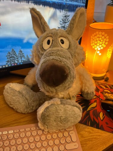 Customer photo review of Wolf In Sheep's Clothing Plush Toy