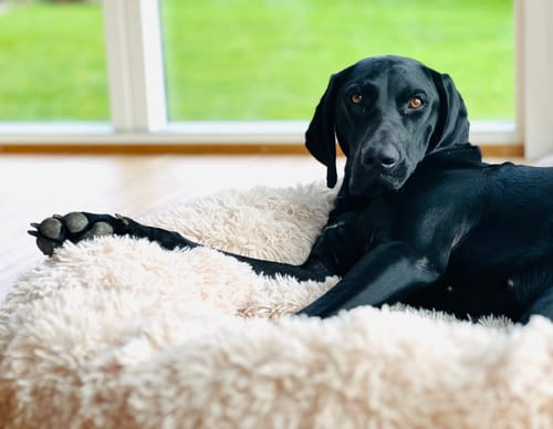 Customer photo review of CalmBed - Motverkar stress & hjälper mot ångest