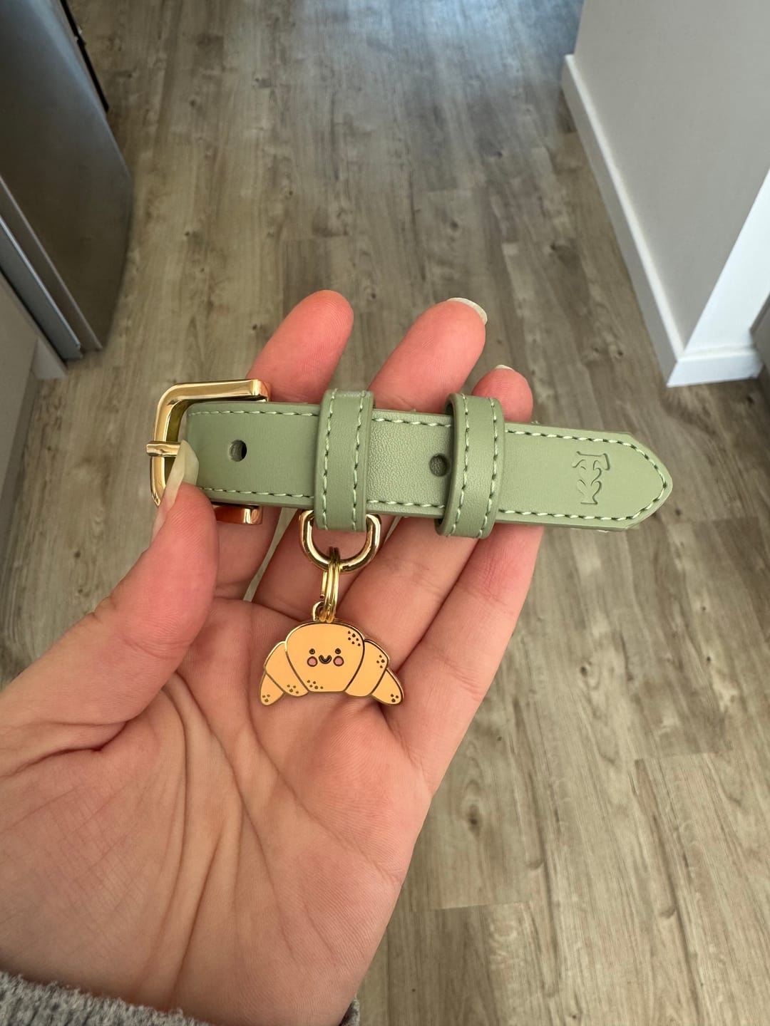 Customer photo review of Croissant Metal Pet Tag