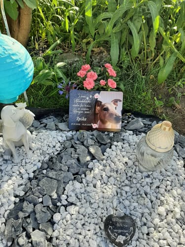 Customer photo review of Hunde Gedenktafel mit Foto & Spruch (UV- & Wetterfest)