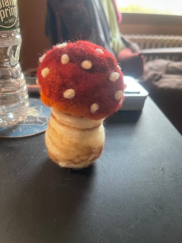 Customer photo review of Sophie Wheatley's Felted Fungi Supplies Box