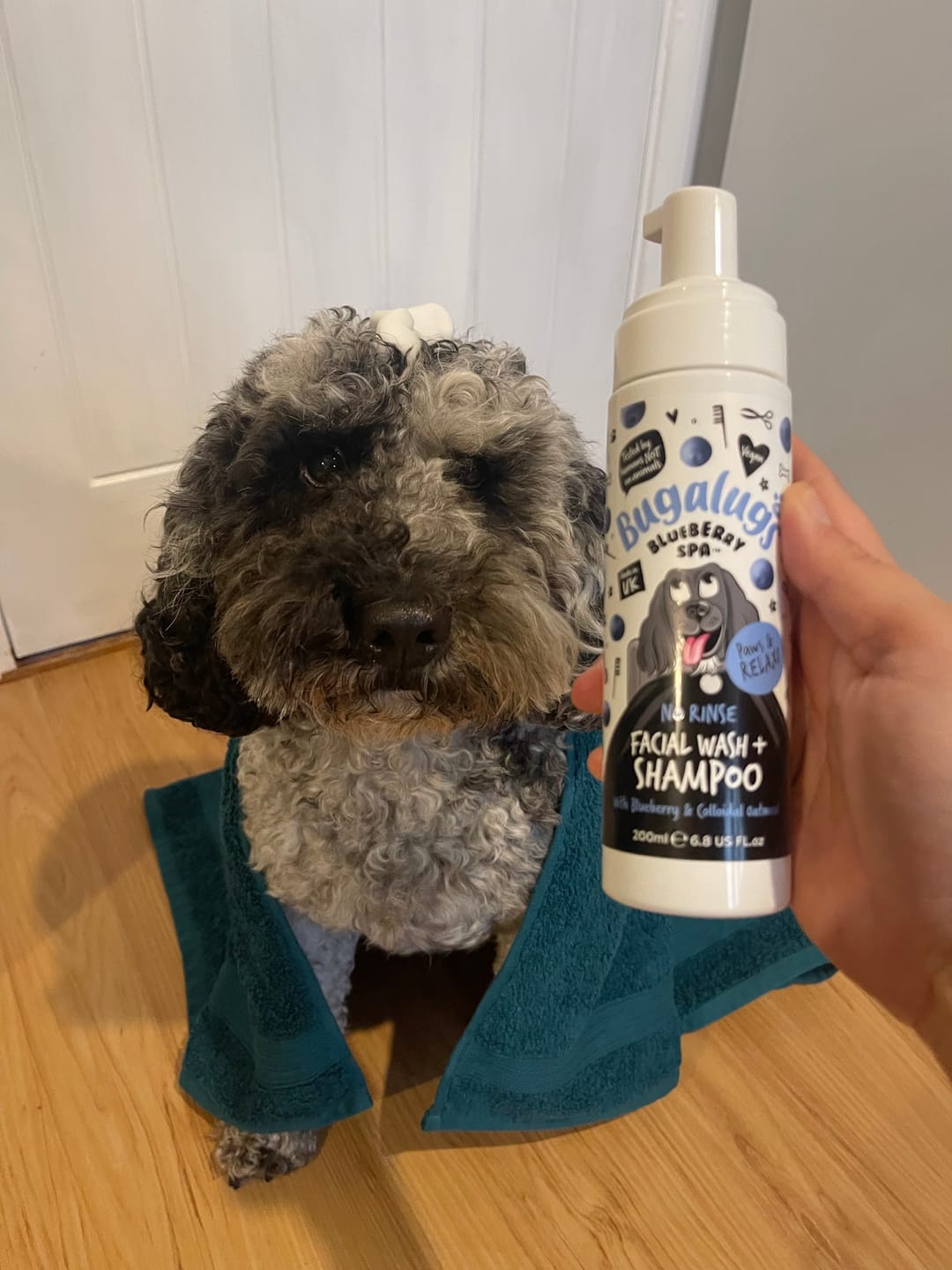 Customer photo review of Blueberry Spa™ No Rinse Facial Wash + Shampoo with Blueberry & Colloidal Oatmeal for Dogs