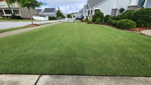 Customer photo review of GCI Turf N (Nitrogen) 20-0-0