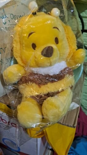 Customer photo review of Disney Winnie The Pooh Bee Plush Toy
