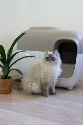 Customer photo review of Self-Cleaning Litter Box