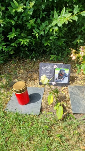 Customer photo review of Hunde Gedenktafel mit Foto & Spruch (UV- &  Wetterfest)