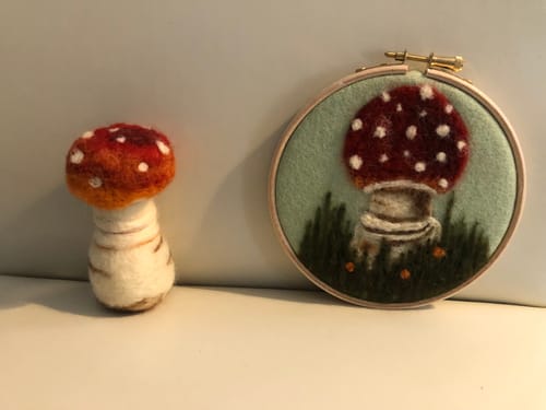 Customer photo review of Sophie Wheatley's Felted Fungi Supplies Box