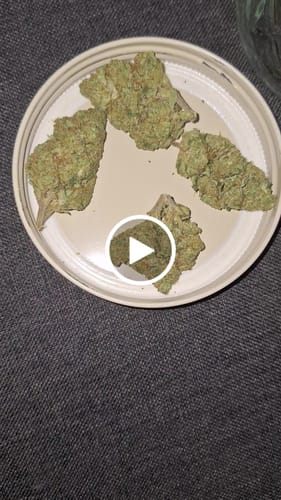 Customer video review of Banana OG