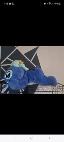 Customer photo review of Disney Stitch 53cm Lying Position Plush Toy