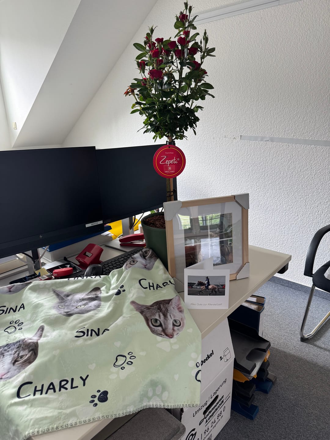 Customer photo review of Haustierköpfe - Individuelle Decke