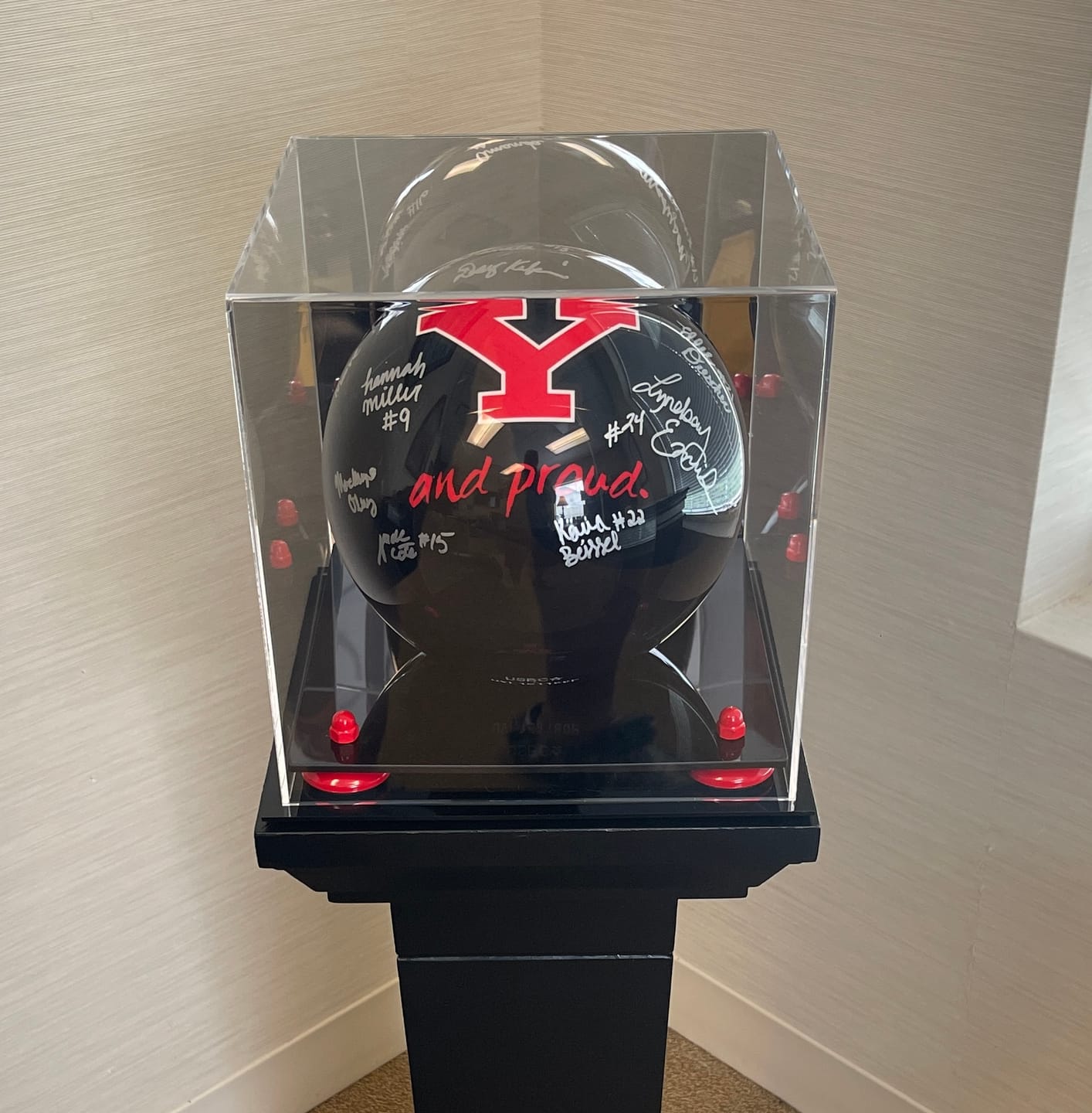 Customer photo review of Acrylic Bowling Ball Display Case (A028/B33)