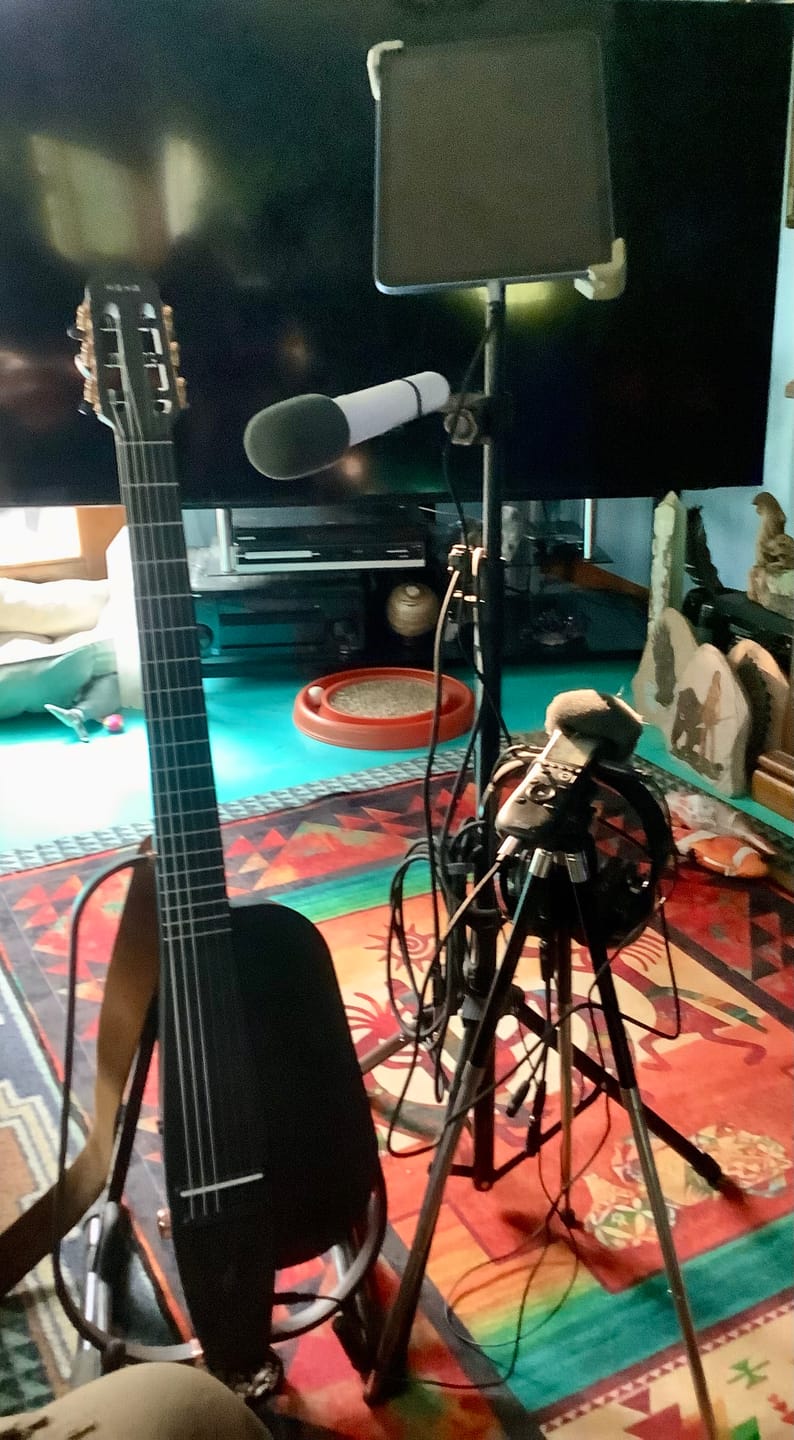 Customer photo review of Wireless Handheld Microphone