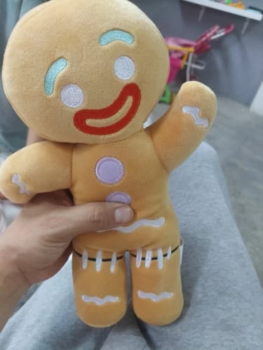 Customer photo review of Shrek Gingerbread Man Plush Toy