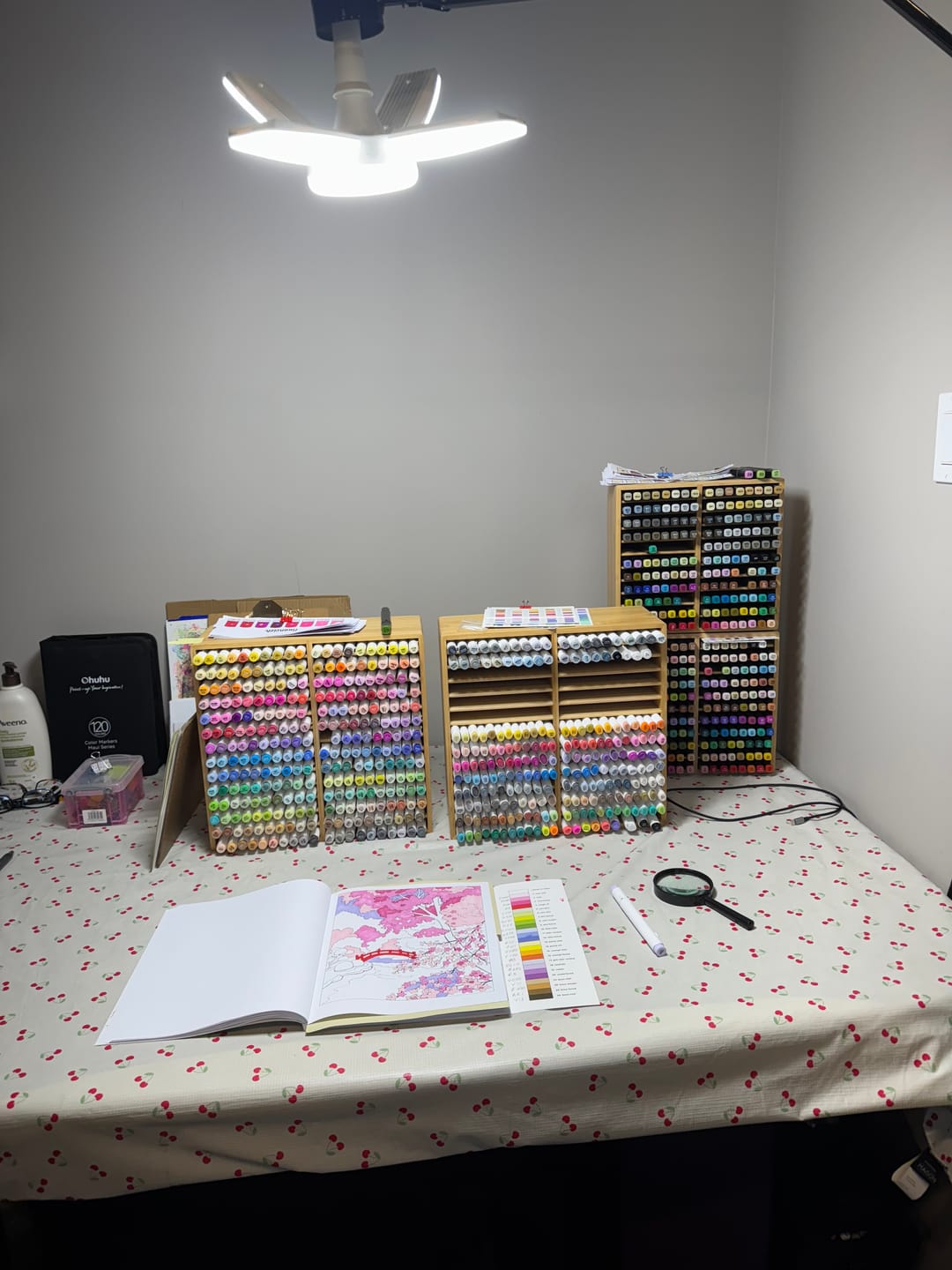 Customer photo review of Ohuhu Oahu 120 Colors Dual Tips Alcohol Art Markers, Fine & Chisel