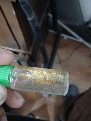 Customer photo review of Dutchman's 'Lost Treasure' Gold Paydirt - Gold Prospecting Concentrate
