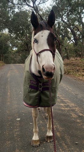 Customer photo review of Amigo Hero Ripstop Lite