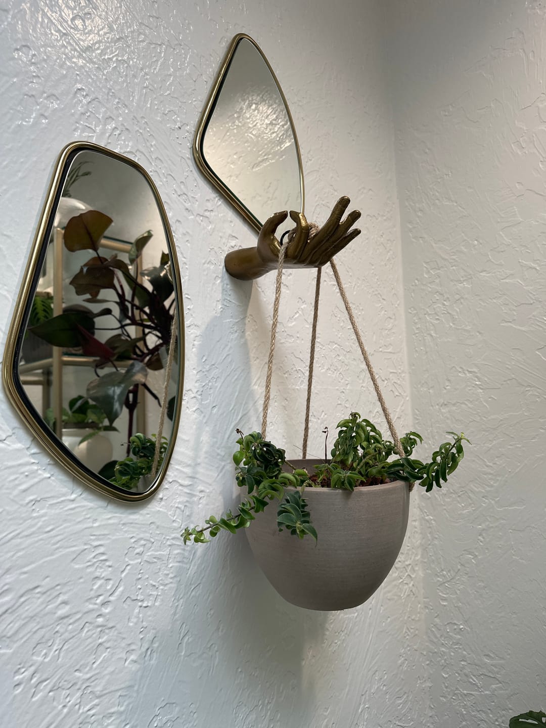 Customer photo review of 8" | 12" Signature Stone Hanging Planter