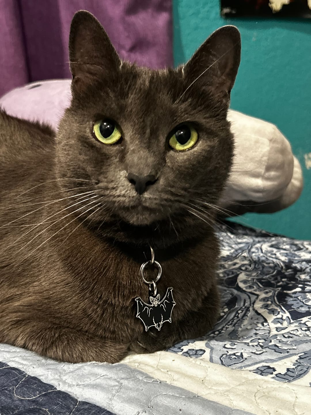 Customer photo review of PET TAG