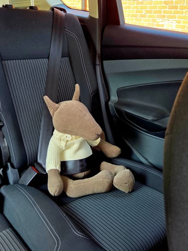 Customer photo review of PIOTR, LE LOUP - GRAND - SPÉCIAL PRINTEMPS