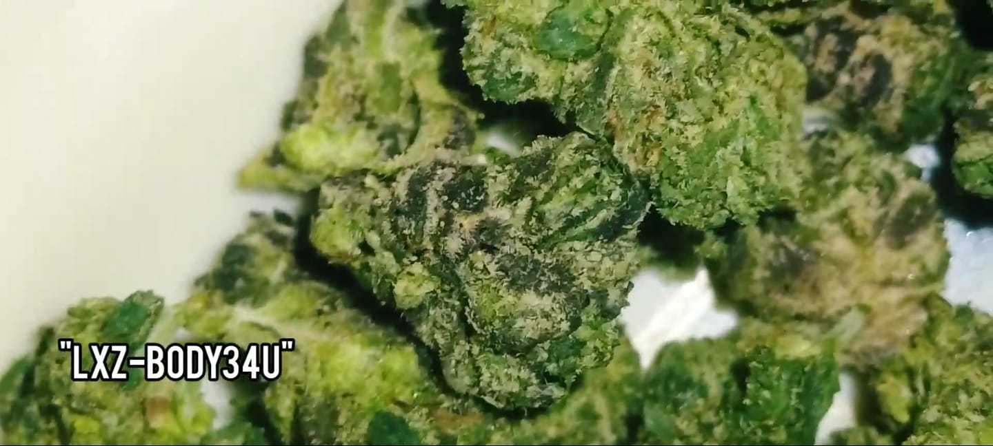 Customer photo review of THCa Indoor Smalls