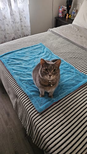 Customer photo review of Oversized Twisted Microfiber Drying Towel
