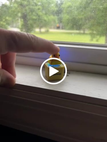 Customer video review of Quackey - Fidget Toy that Quacks!