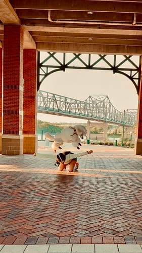 Customer photo review of Leather Dog Booties - Doccasins - 1 pair