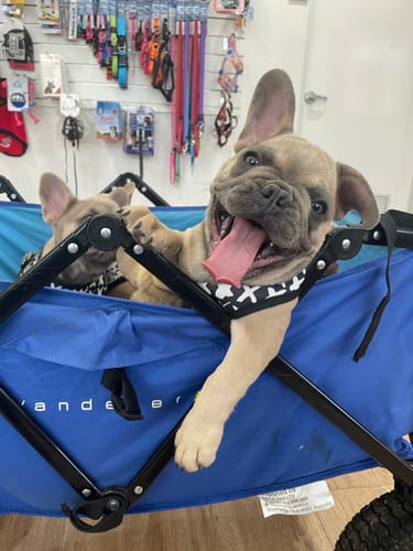 Customer photo review of Exclusive Printed Set [Don't Cross Me]