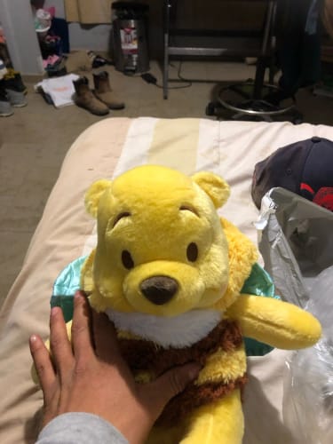 Customer photo review of Disney Winnie The Pooh Bee Plush Toy