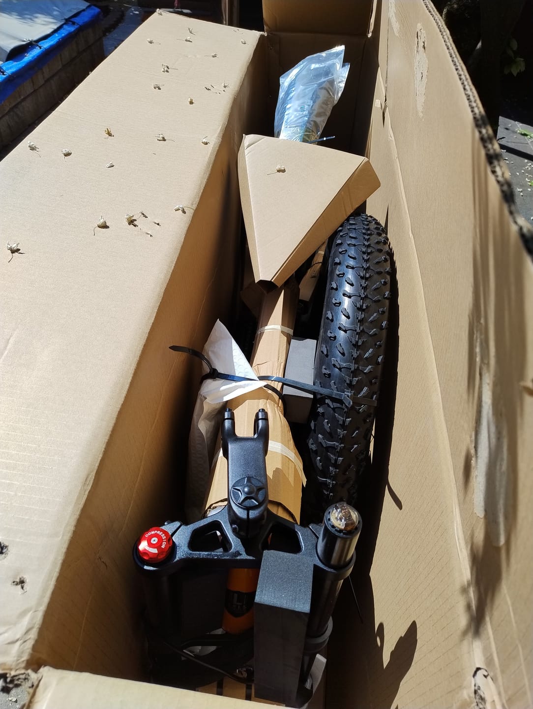 Customer photo review of LANKELEISI RV800PLUS