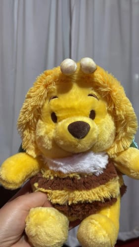 Customer photo review of Disney Winnie The Pooh Bee Plush Toy