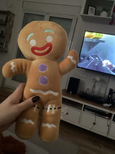 Customer photo review of Shrek Gingerbread Man Plush Toy