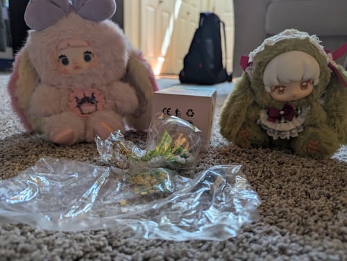Customer photo review of Nommi Fantasy World Series Plush Blind Box