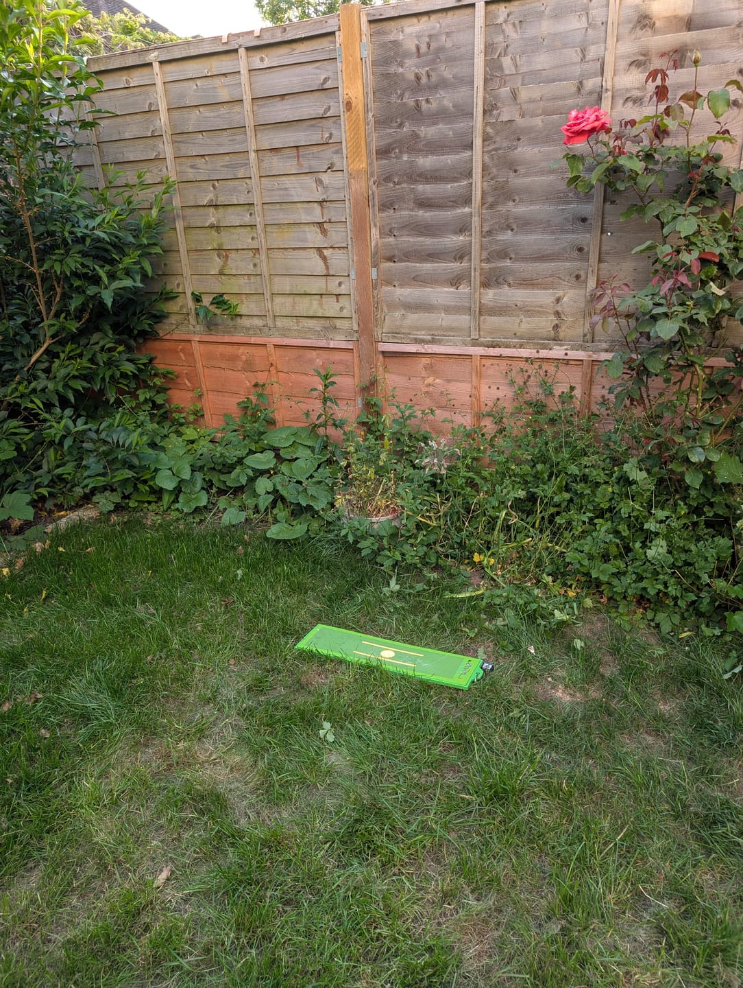 Customer photo review of Divot Board