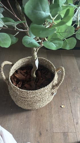 Customer photo review of 10 liter Frans Boomschors