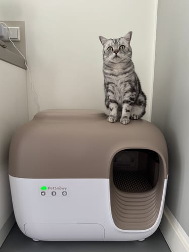 Customer photo review of Self-Cleaning Litter Box