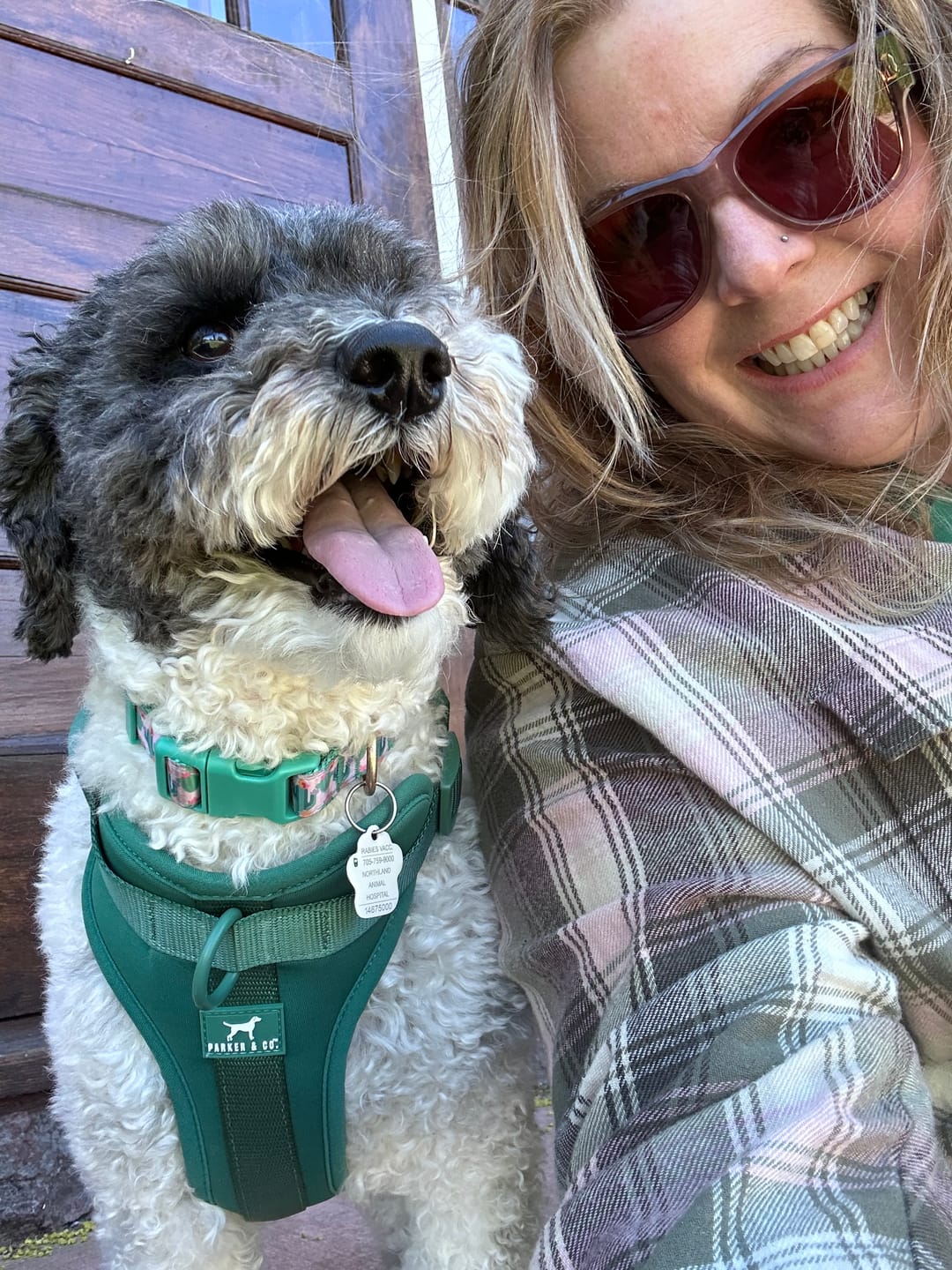 Customer photo review of Solace Adjustable Dog Harness