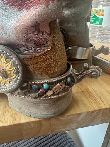 Customer photo review of Cars Cartoon Spurs