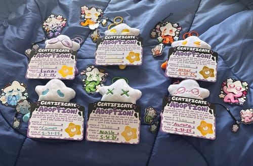 Customer photo review of Adopt a Star Baby Plush Blind Box