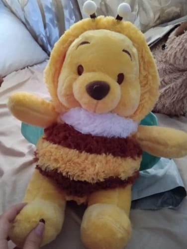 Customer photo review of Disney Winnie The Pooh Bee Plush Toy