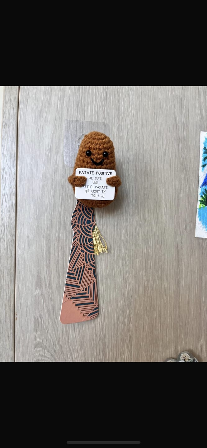 Customer photo review of PATATE POSITIVE