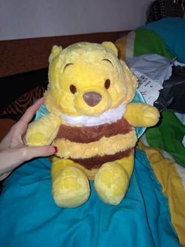 Customer photo review of Disney Winnie The Pooh Bee Plush Toy