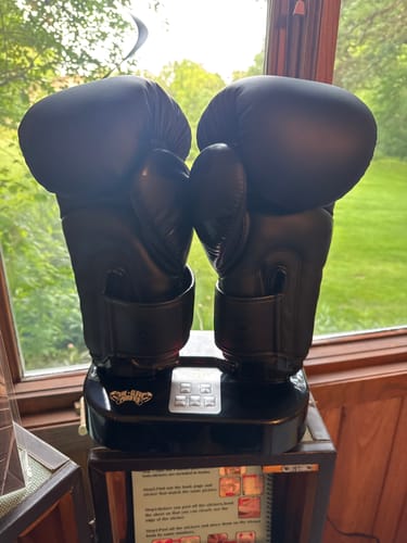 Customer photo review of The Glove Purifier with Thermal Heating and O3-Enabled Active Technology Built for Preserving Boxing Gloves