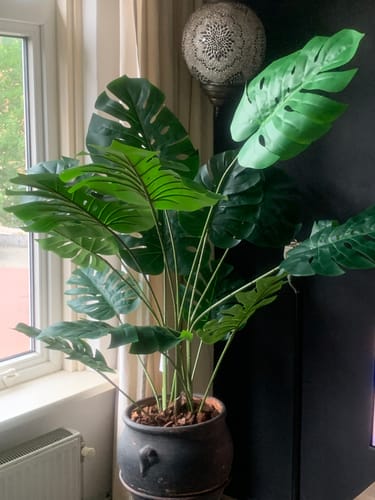 Customer photo review of Monstera Kunstplant 145cm