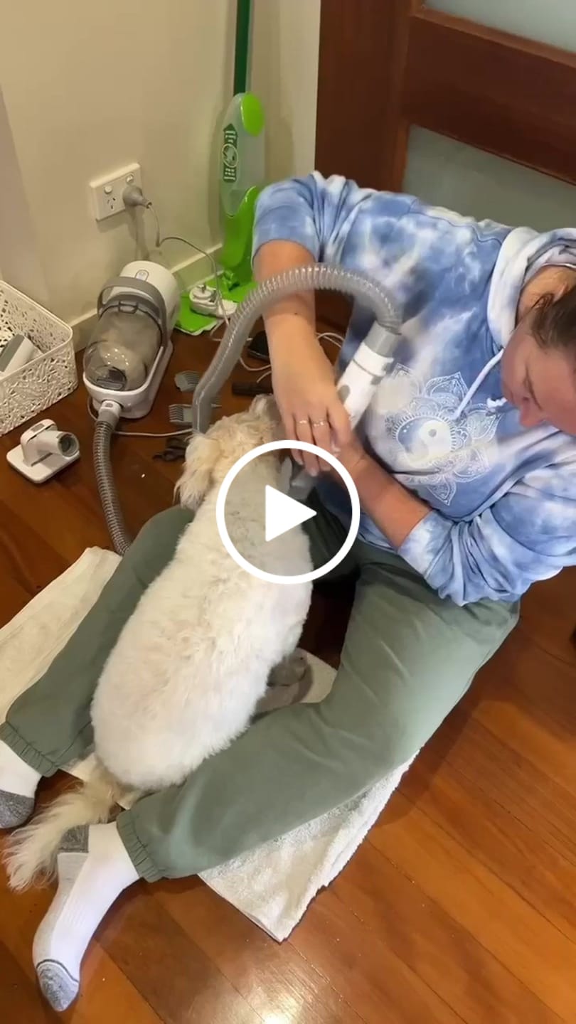 Customer video review of PaWz GroomMate Pet Grooming Kit