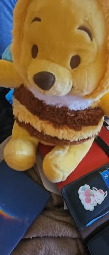 Customer photo review of Disney Winnie The Pooh Bee Plush Toy