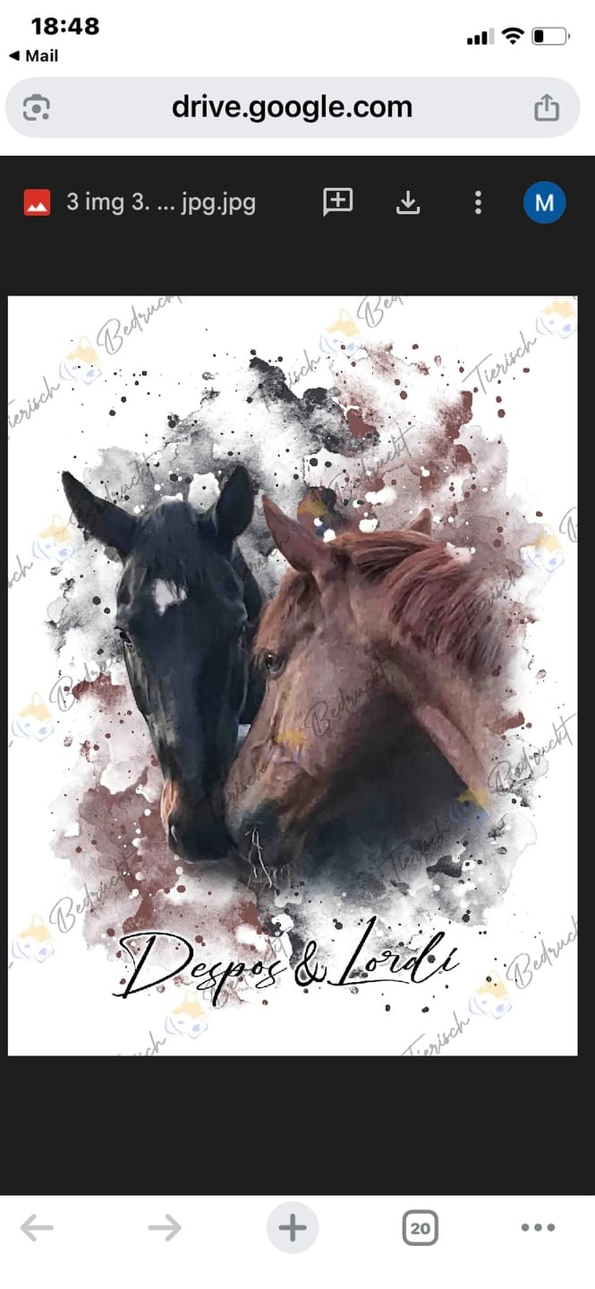 Customer photo review of Dein Pferd als Wasserfarben Portrait