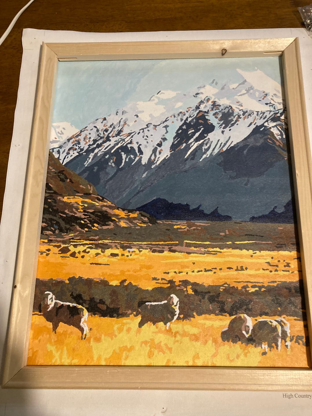 Customer photo review of High Country Merinos